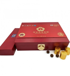 An Cung Ngưu Hoàng Chính Phủ 