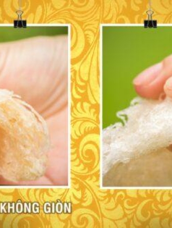 Cách phân biệt tổ yến thật và giả bằng tay